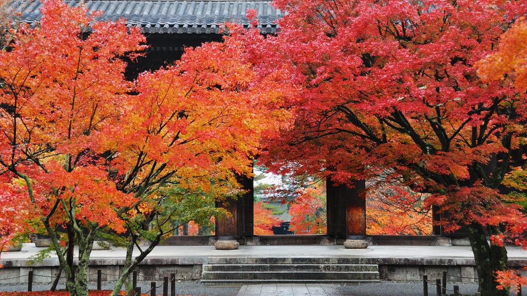 南禅寺三門からの絶景と水路閣も必見！新緑と紅葉が美しい南禅寺を観光