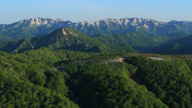 世界最大級のブナの森は極上の癒し空間！日本の世界遺産「白神山地」