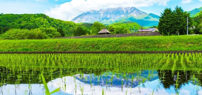 22年 大山町 鳥取県 を満喫 最新おすすめ観光スポット一覧 Skyticket 観光ガイド