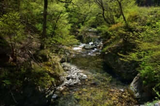 芦川オートキャンプ場