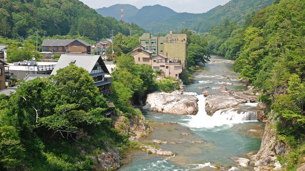 愛知県新城市周辺でおすすめのホテル5選！温泉・歴史・景勝を楽しもう！