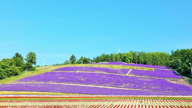 北海道富良野 美瑛でカップルや一人旅におすすめなホテル11選 Skyticket 観光ガイド