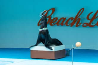 南知多ビーチランド