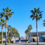 浦安市総合公園