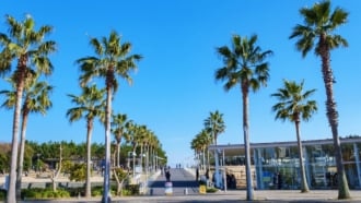 浦安市総合公園