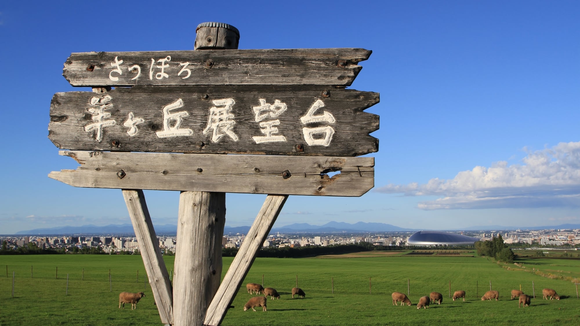 札幌の自然やグルメを満喫 さっぽろ羊ヶ丘展望台の観光スポット Skyticket 観光ガイド