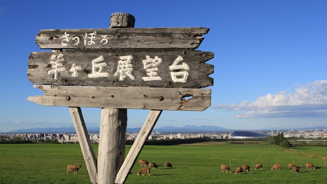 札幌の自然やグルメを満喫 さっぽろ羊ヶ丘展望台の観光スポット Skyticket 観光ガイド