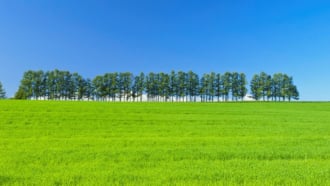 マイルドセブンの丘