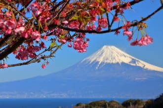 土肥から見る富士山