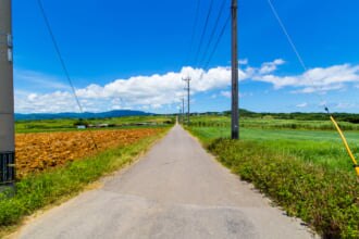 小浜島のシュガーロード