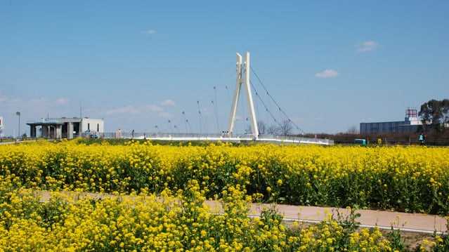 きれいな風景と旨い和菓子をお土産に。埼玉県幸手市のおすすめ土産