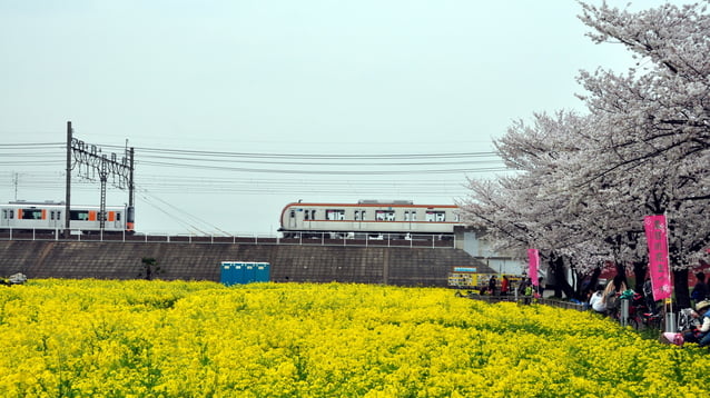 色鮮やかなにんじん羊羹が◎！埼玉県朝霞市でおすすめのお土産４選