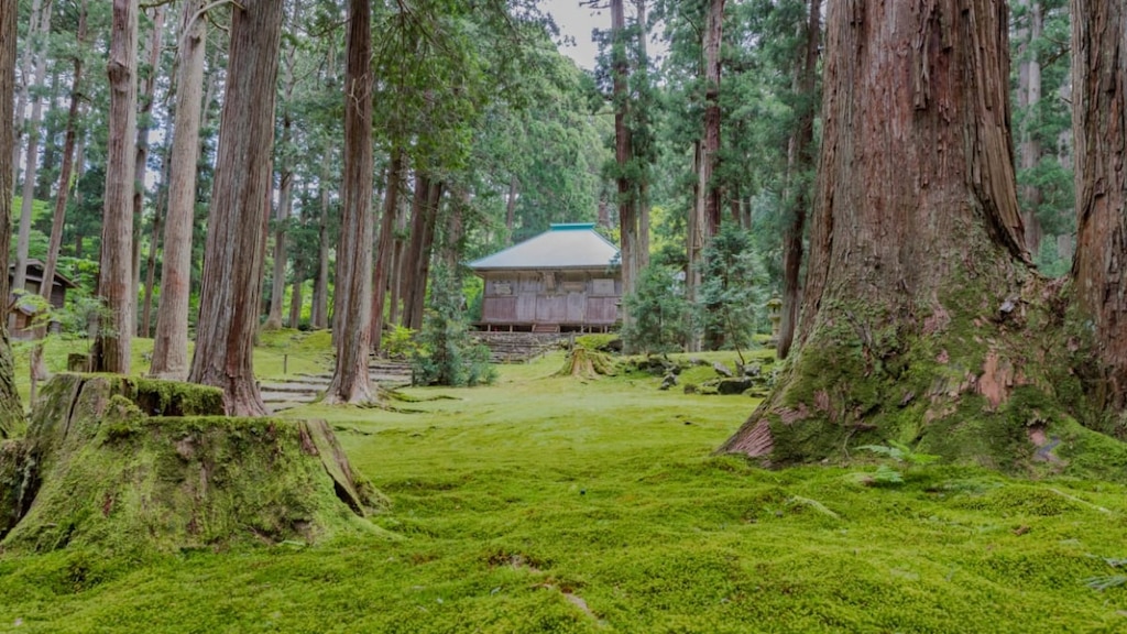 福井の穴場観光スポット「平泉寺白山神社」で心洗われるおすすめの旅！