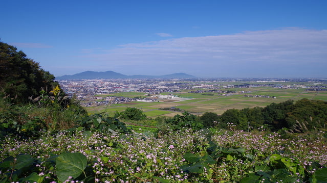 SNSで話題のお菓子も！新潟県三条市でおすすめのお土産4選