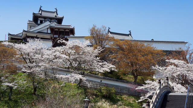 喜ばれるギフトがたくさん 京都府福知山市でおすすめのお土産4選 Skyticket 観光ガイド