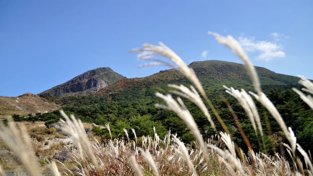 【宮崎県えびの市】えびの高原は火山湖と絶景を巡るハイキングがおすすめ