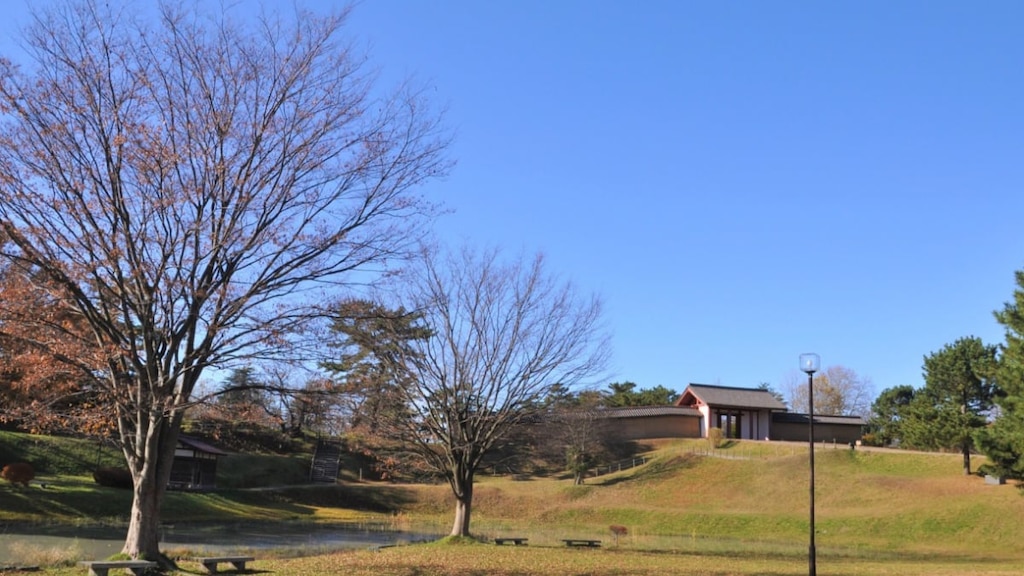 秋田城跡の観光の見どころは？近年注目を集めている古代政庁！