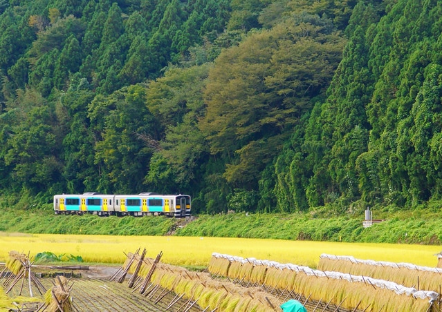 21年 常陸大宮を満喫 最新おすすめ観光スポット一覧 Skyticket 観光ガイド