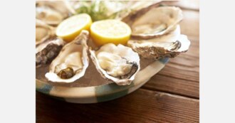 「ひろしまブランドショップTAU」広島牡蠣フェアが2月1~29日で開催！レストラン「メリプリンチペッサ 銀座店」にて特別メニューをご用意