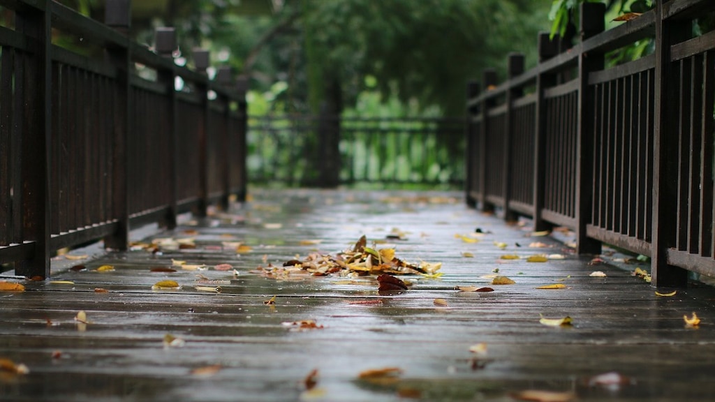 急な雨でも楽しめる観光地を紹介！福岡県のおすすめ屋内観光スポット5選