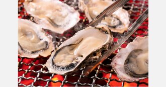 「神田のまぐろトラエモン」にて2/1より開催！「贅沢！牡蠣料理食べ放題フェア」