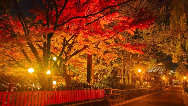 これは見ておきたい 感動を届ける京都の絶景スポット15選 Skyticket 観光ガイド