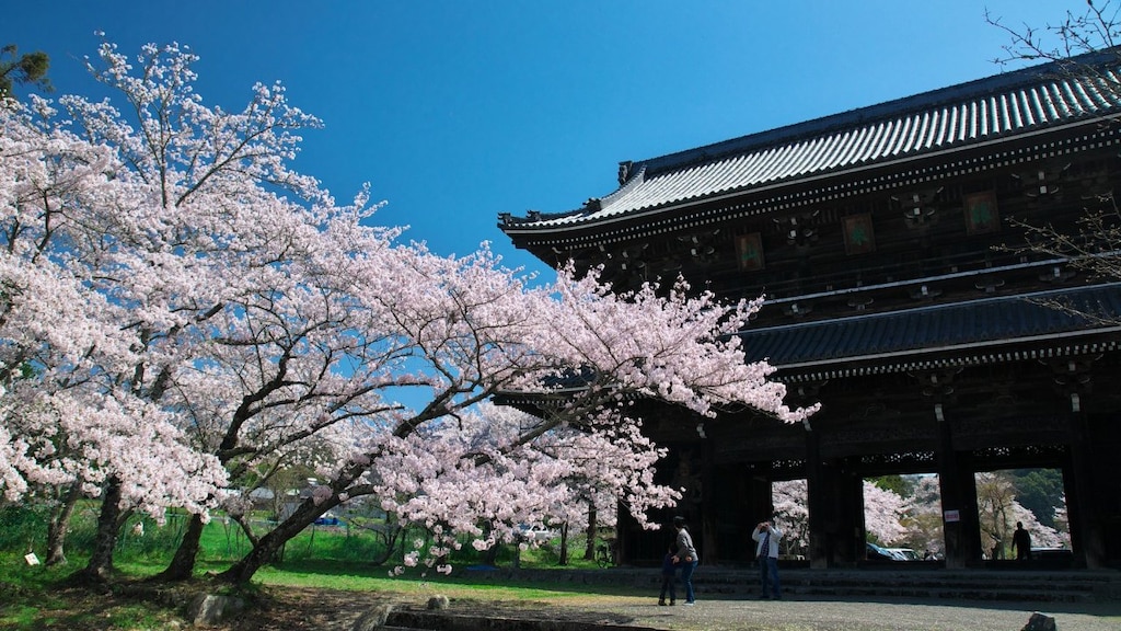 和歌山県岩出市のおすすめ観光地8選！根来の桜と季節の花を堪能しよう