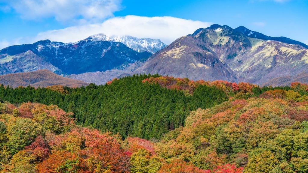 行かないと損する！栃木の絶景スポットとおすすめの名所7選