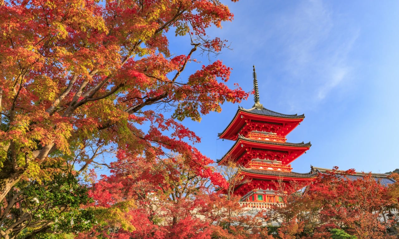 近畿地方のおすすめ紅葉スポット秋 秋の関西で紅葉を満喫 Skyticket 観光ガイド