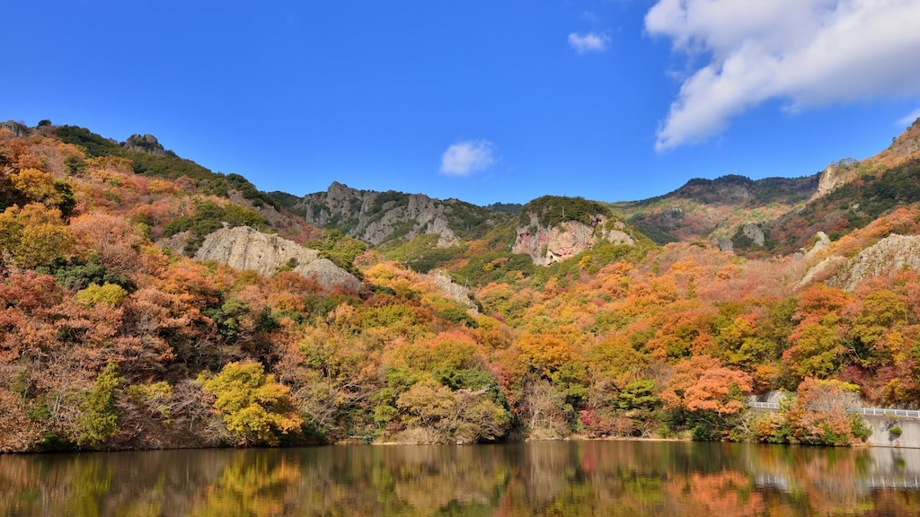 紅葉の名所「寒霞渓」から眺める瀬戸内海の絶景！おすすめの巡り方