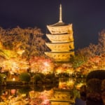 東寺五重塔ライトアップ