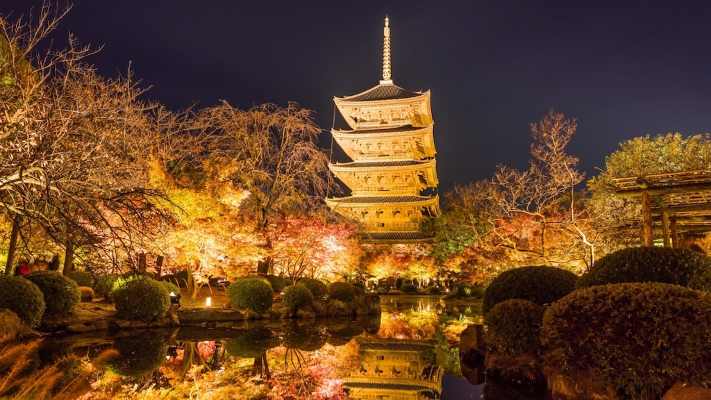 京都「東寺」を観光！桜・紅葉ライトアップと五重塔特別拝観を見逃さないで