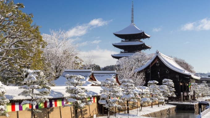 京都「東寺」を観光！桜・紅葉ライトアップと五重塔特別拝観を見逃さ 