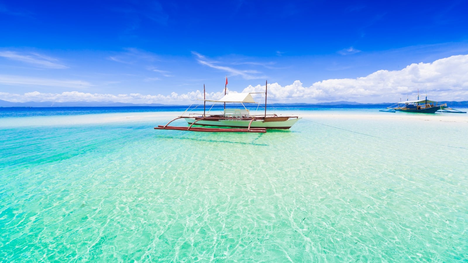 フィリピン・セブ島のオススメ観光15選｜ジンベイザメと泳いでみない？ Skyticket 観光ガイド