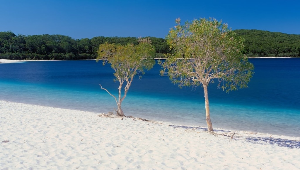 オーストラリアの世界遺産フレーザー島｜世界最大の砂の島で観光＆体験