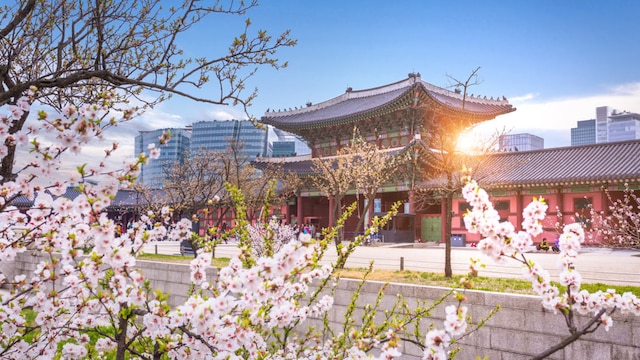 韓国のおすすめ観光地選 人気のソウル 釜山 済州島から地方の穴場まで Skyticket 観光ガイド