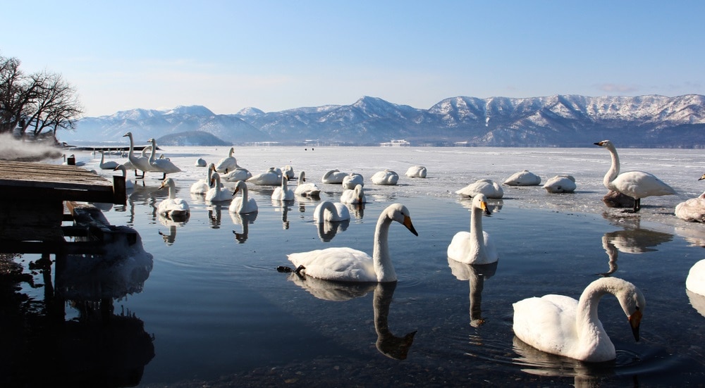 北海道の自然がたくさん！網走の湖と周辺の絶景スポット10選