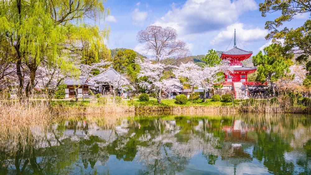 京都には美しい桜の名所がいっぱい！春の観光で訪れたい桜の名所5選