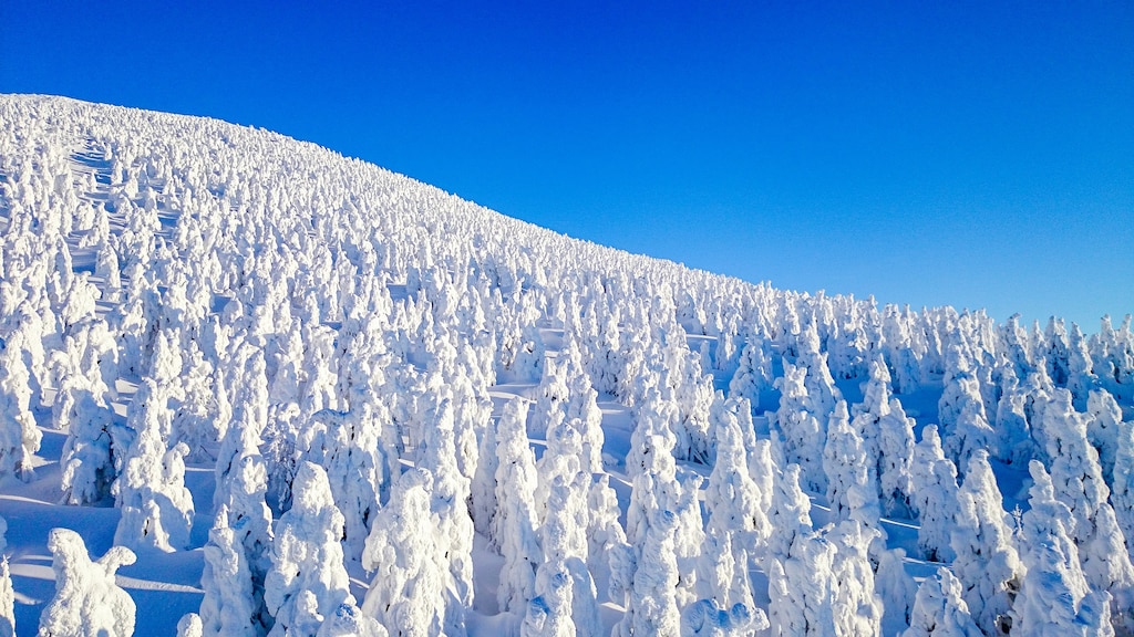 山形県の蔵王温泉でおすすめの観光スポット6選｜樹氷や紅葉も楽しもう！