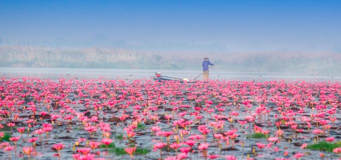 ウドーンターニー