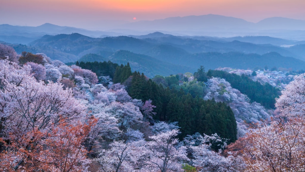 奈良県吉野町のおすすめホテル10選｜千本桜が咲き誇る歴史ある町