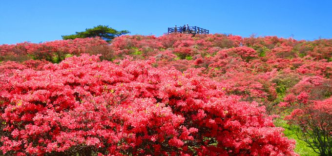 田村市（船引）