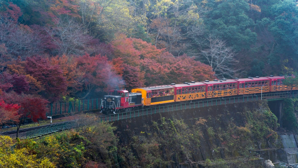 京都・嵯峨野でホテルを探そう！嵐山と隣り合う人気観光エリア