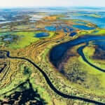 ウッド・バッファロー国立公園