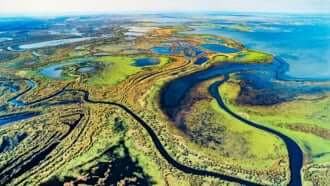 ウッド・バッファロー国立公園