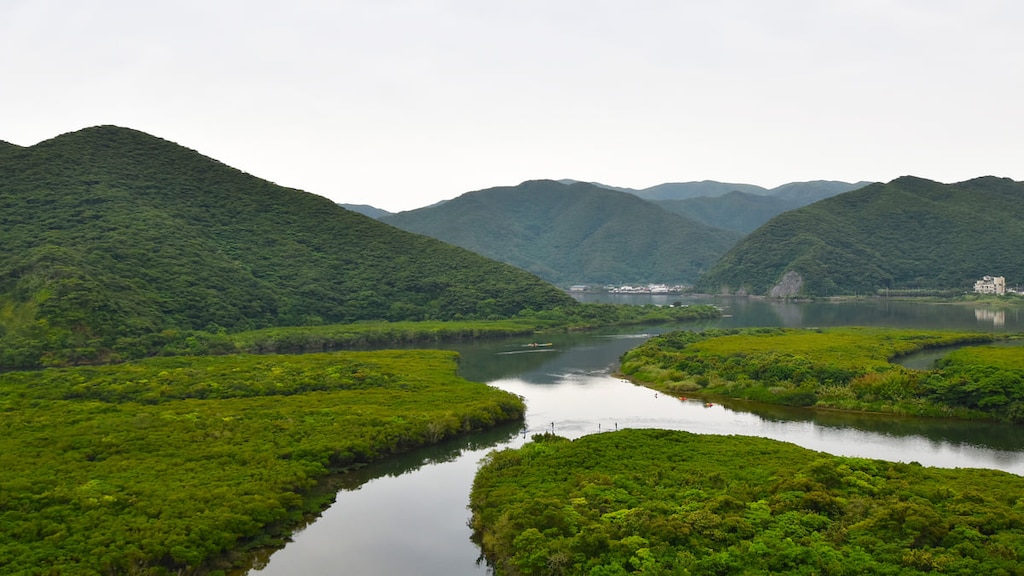 【祝！登録決定】世界自然遺産「奄美・沖縄」のおすすめスポットやアクセスを解説！