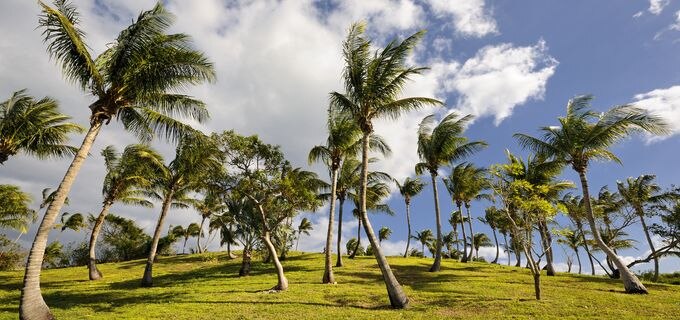 ガバナーズハーバー
