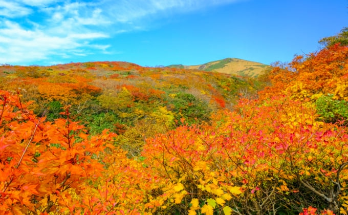 宮城の一大紅葉スポット！栗駒山のおすすめ観光情報をまとめてご紹介