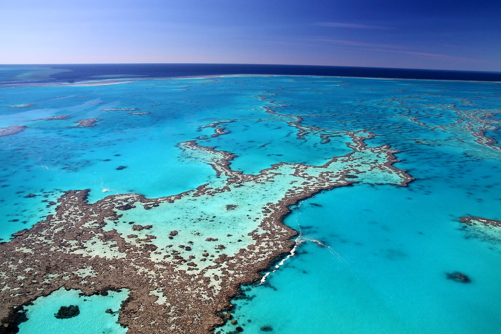 世界最大の珊瑚礁地帯 世界遺産グレートバリアリーフの魅力 Skyticket 観光ガイド