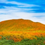 紅葉が美しい栗駒山